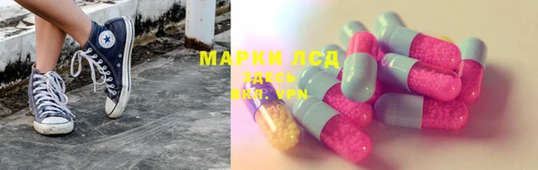 PSILOCYBIN Абдулино