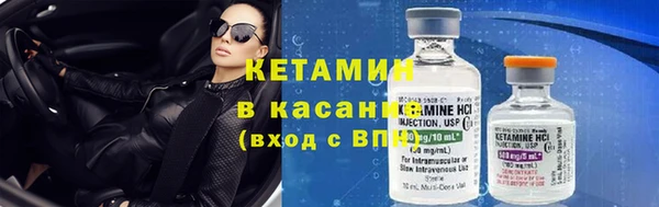 прущие грибы Абинск