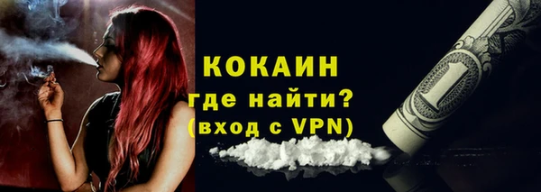 прущие грибы Абинск