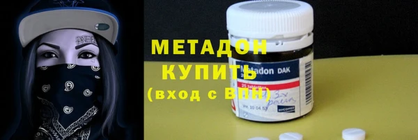 прущие грибы Абинск
