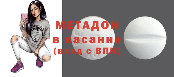прущие грибы Абинск