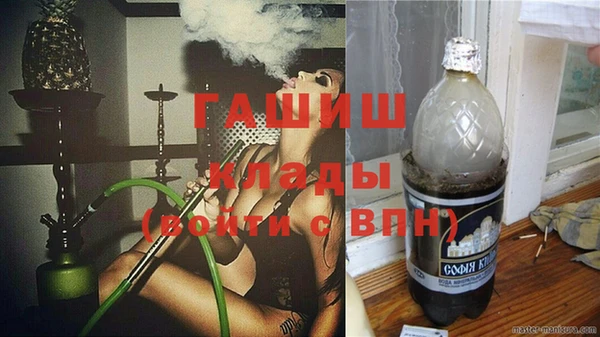 прущие грибы Абинск