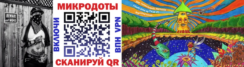 Псилоцибиновые грибы MAGIC MUSHROOMS  купить наркотики цена  Новая Усмань 